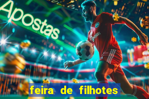 feira de filhotes porto alegre